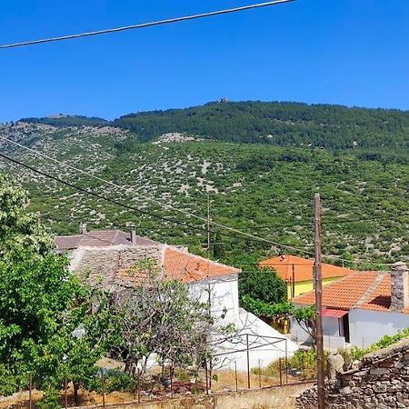 فيلا Stella House Theologos  المظهر الخارجي الصورة