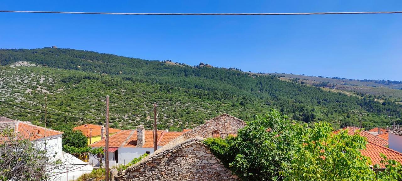 فيلا Stella House Theologos  المظهر الخارجي الصورة
